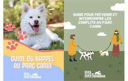 Légende photo : La SPCA de l'Outaouais a publié deux nouveaux guides à l’intention des usagers des parcs canins. Crédit photo : Gracieuseté de la SPCA de l’Outaouais